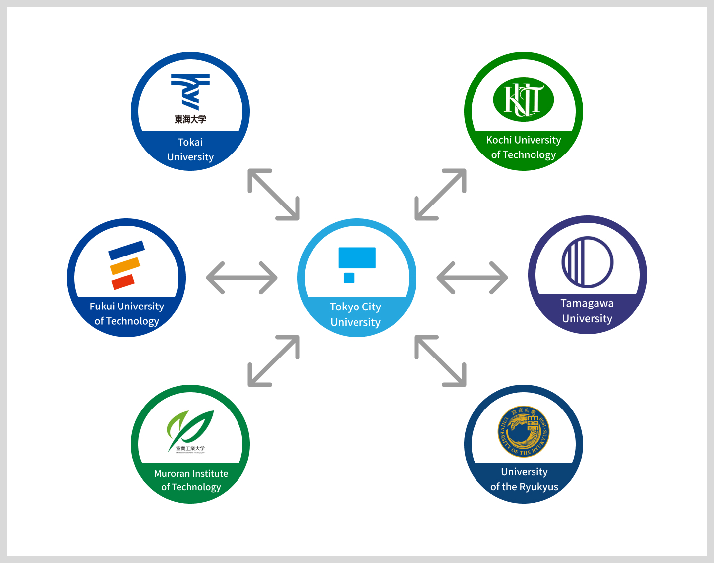 Partnerships with other universities